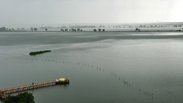 Sustainable Development